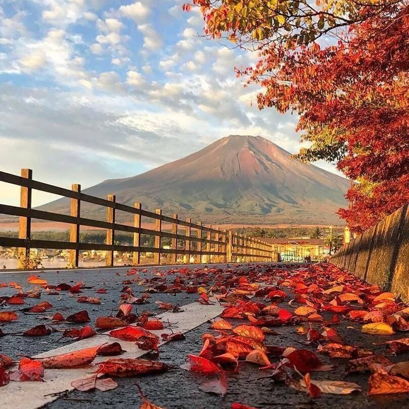 Diamond Fuji am Yamanaka-See: Herbstguide zu Terminen und Aussichtspunkten