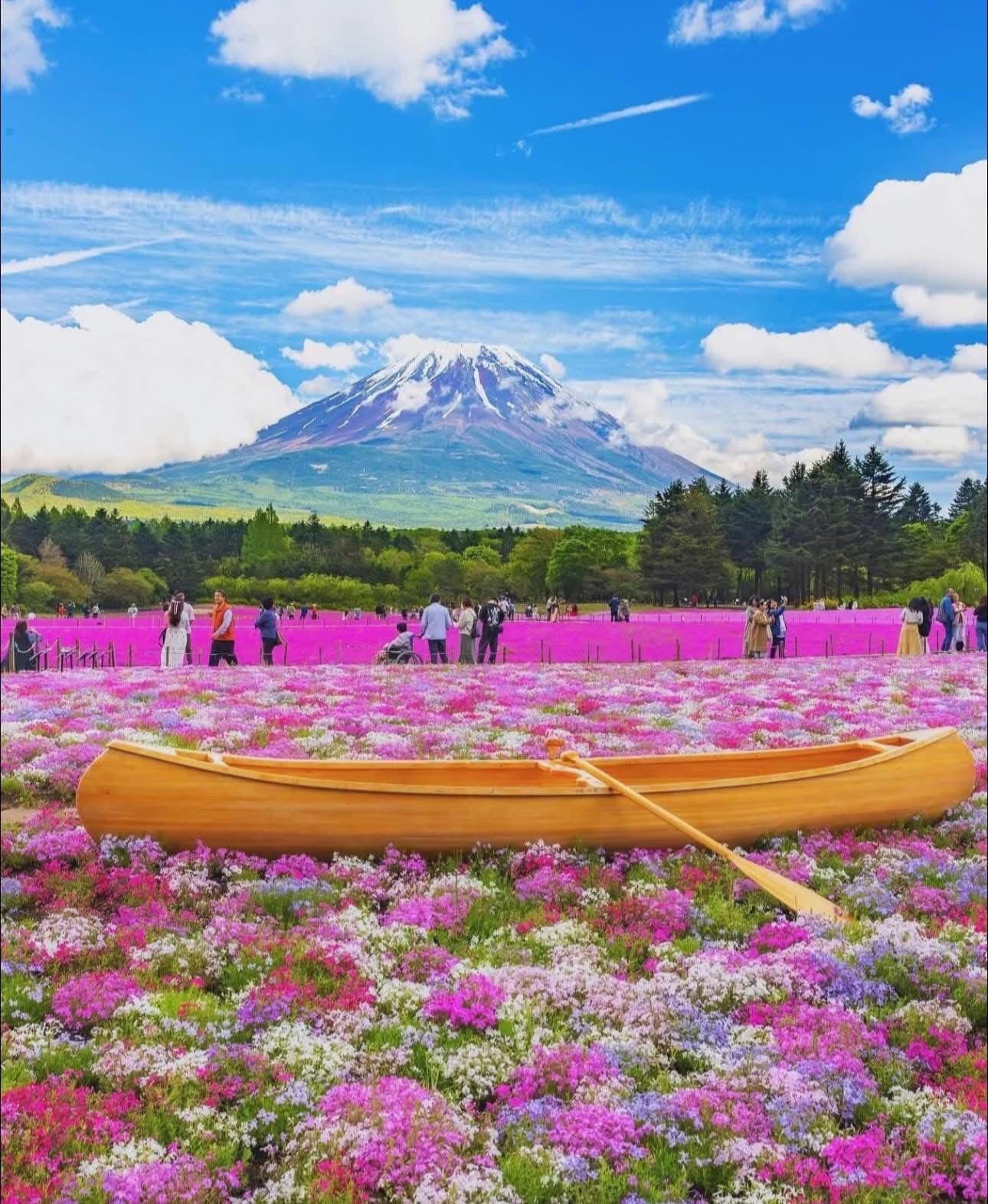 Aso volcanic caldera grasslands — Kyushu island