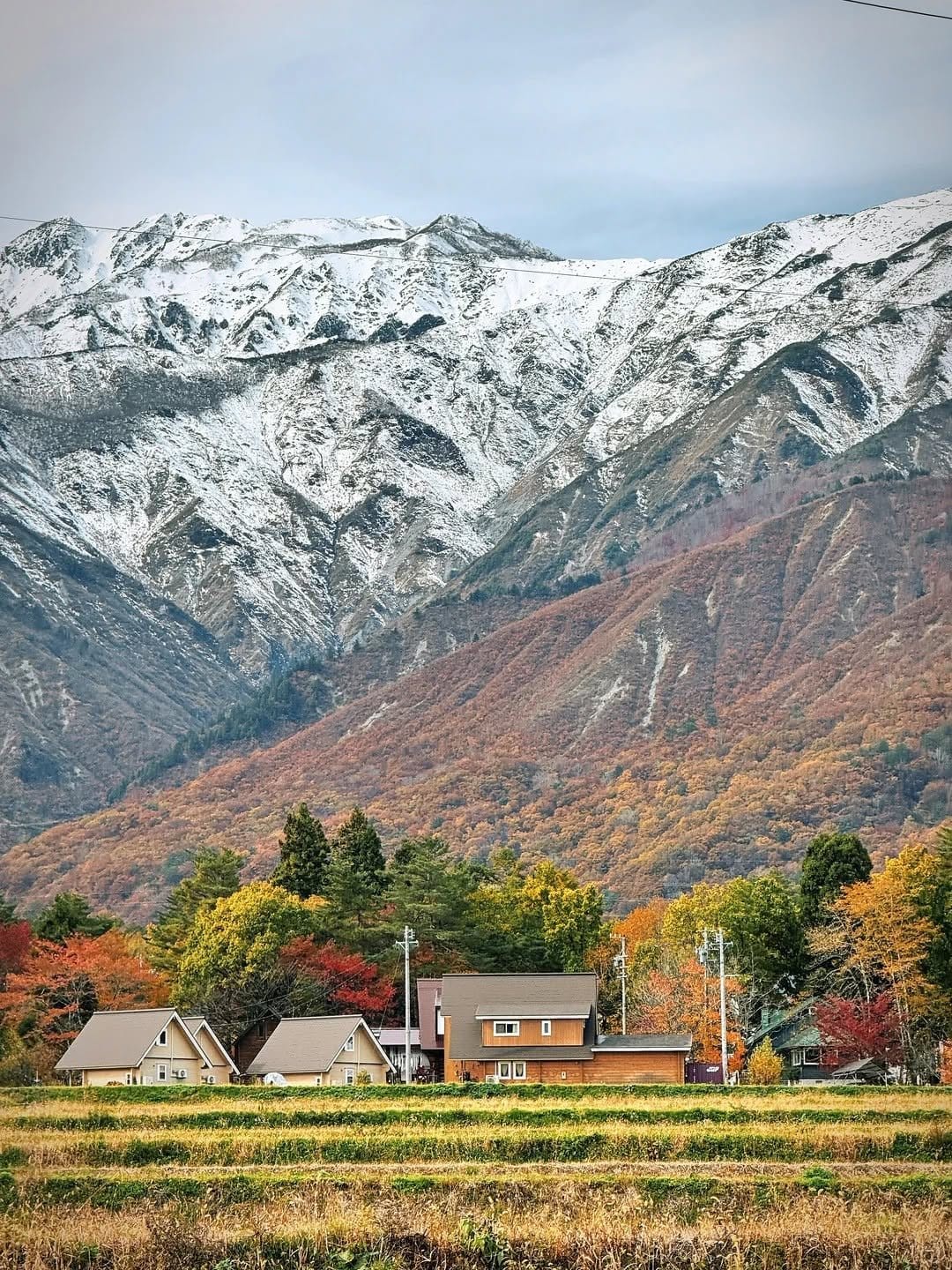 Hakuba im Herbst: Die richtigen Reisedaten für weniger Menschen und deutlich niedrigere Preise