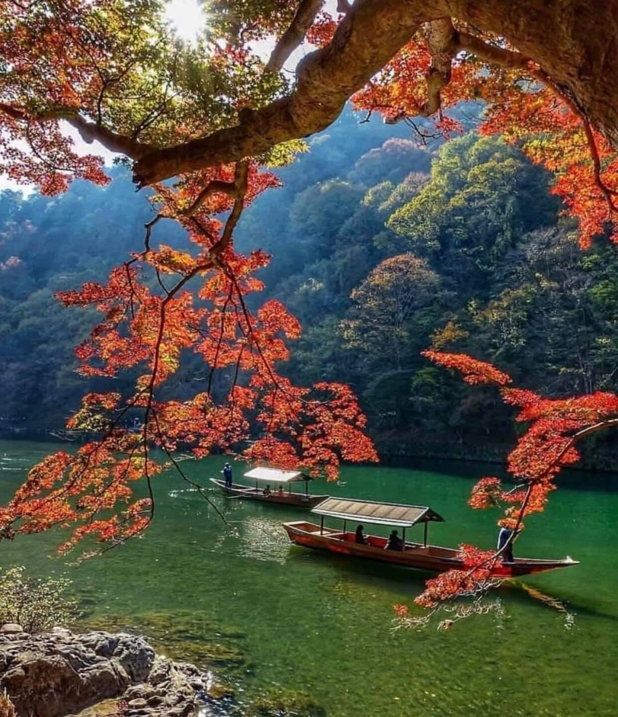 Los colores del otoño de Kyoto más allá de la ciudad: Ohara, Kurama–Kibune y Takao