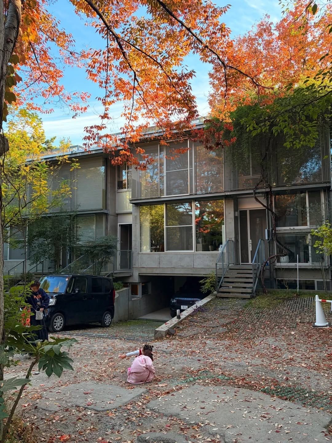 围绕庭院的低层清水混凝土住宅,步道旁的树木呈现黄色与红色的秋日叶色