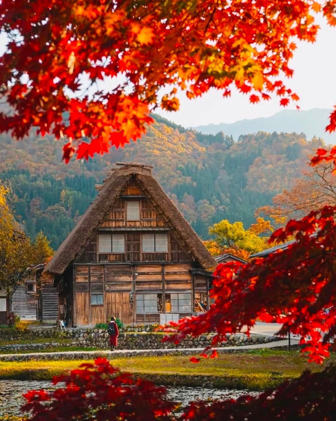 Shirakawa-go in late fall: how the leaves change week by week and when to book