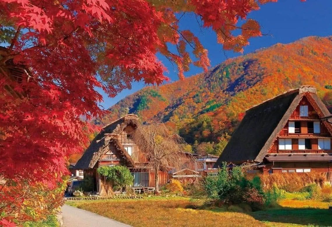 The Road to Shirakawa-go During Fall Foliage: Buses, Tickets, and Self-Driving Tips