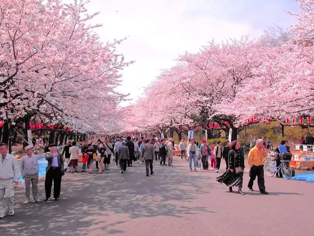 Itinerario di 1 giorno tra musei e gallerie d’arte del parco di Ueno