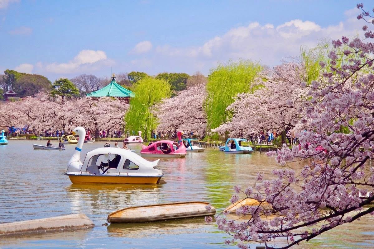 Itinerario di 1 giorno tra musei e gallerie d’arte del parco di Ueno