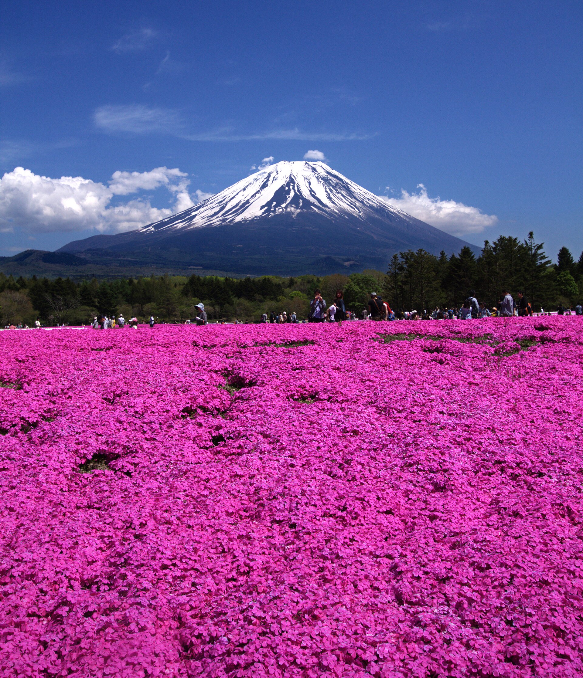 Japan Honeymoon Itinerary for Indian Couples