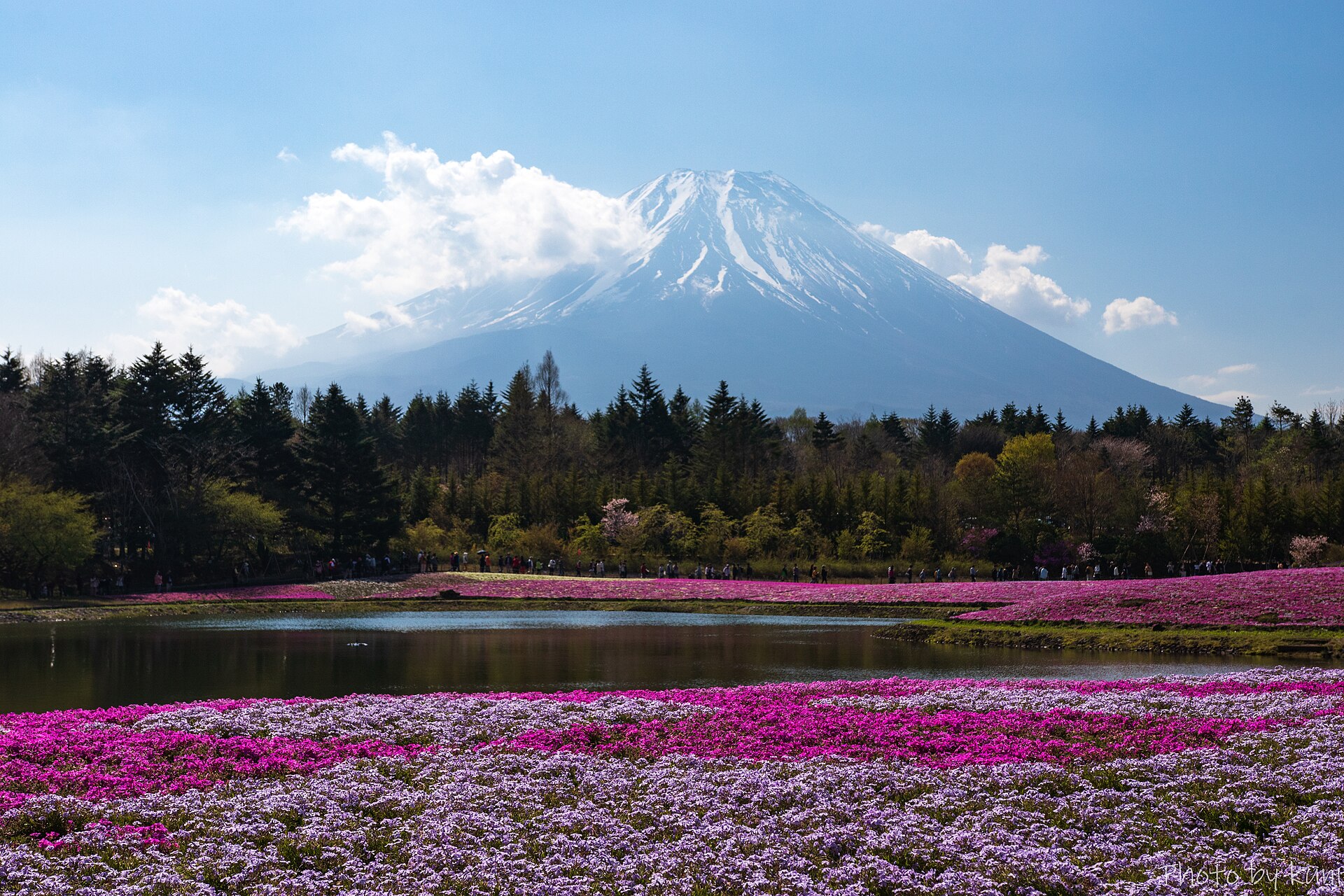 HiAce 10-Seater for Big Families: Tokyo, Fuji and Hakone Made Easy