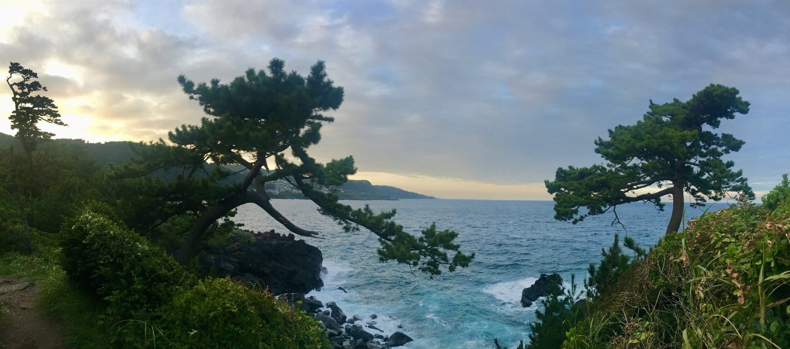 Day Trip from Tokyo! Snorkeling Spots on the Izu Peninsula