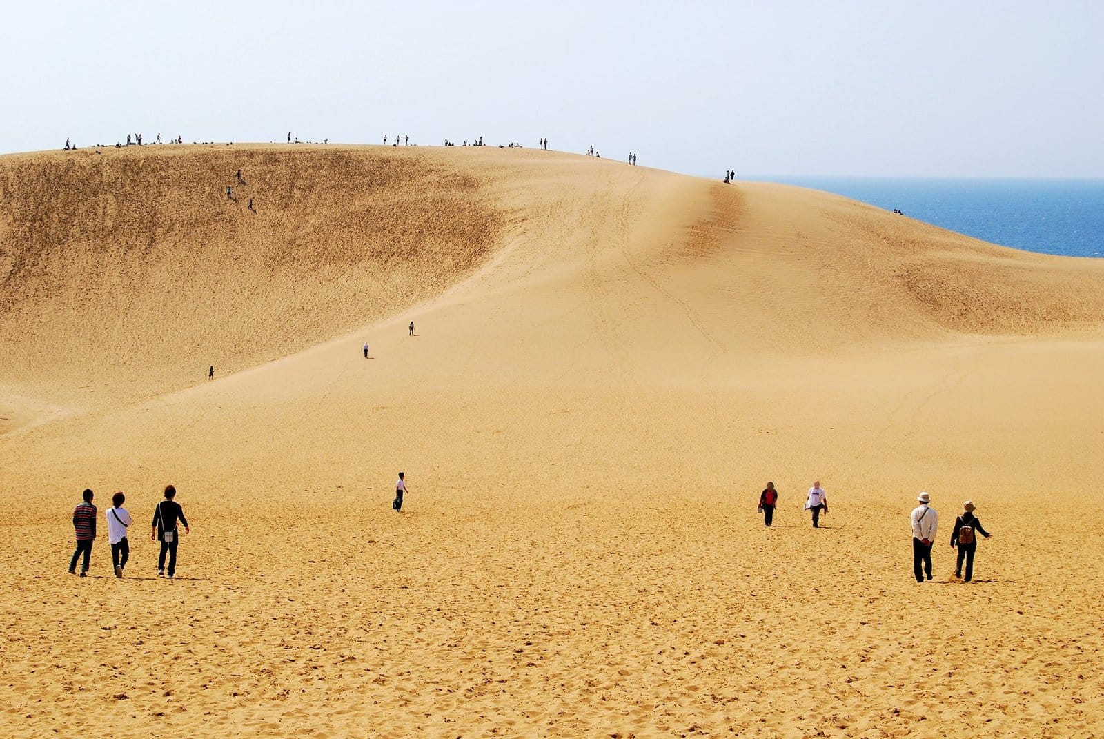 Guida alle Dune di Tottori | Goditi paesaggi mozzafiato e attività nelle dune più grandi del Giappone!