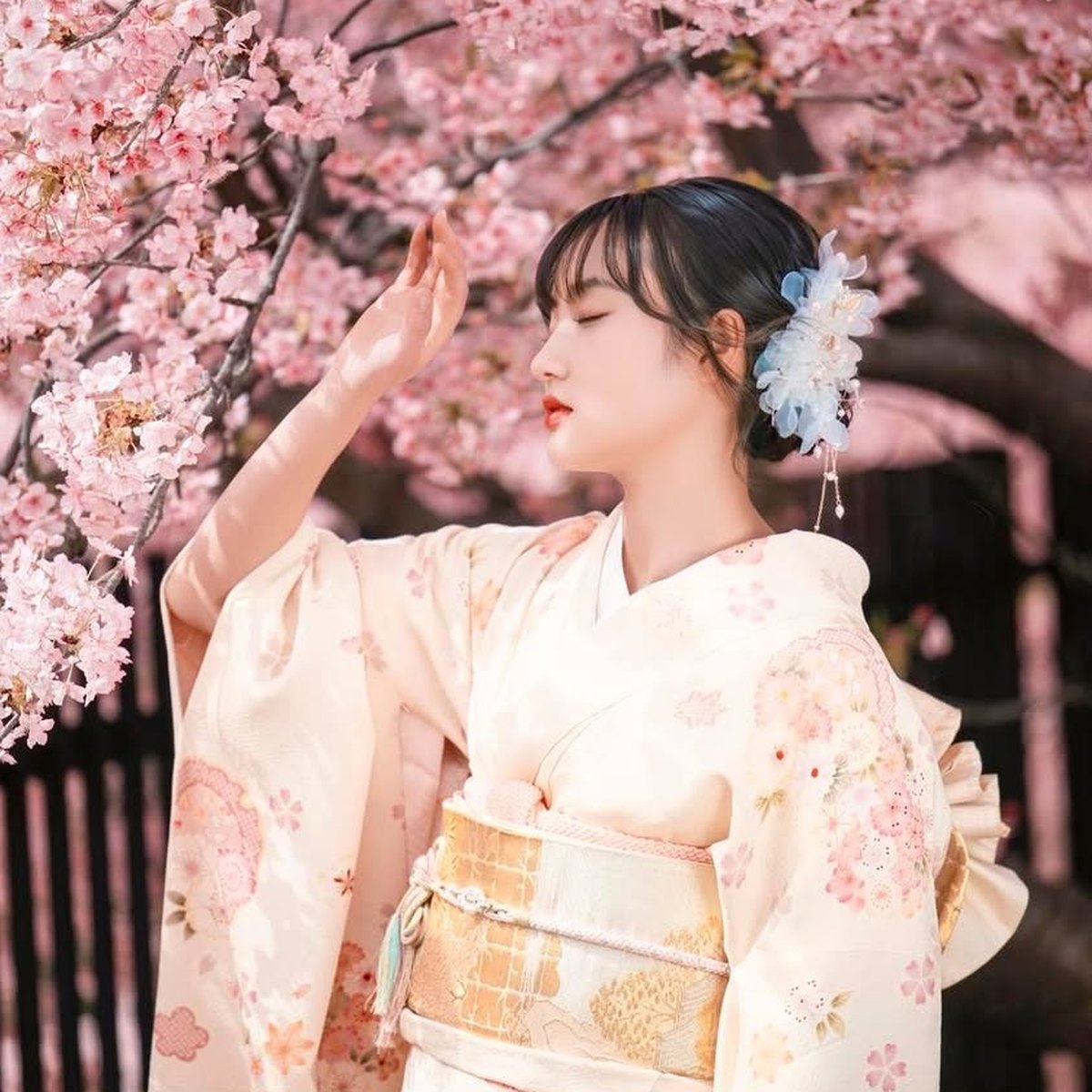 Tomesode — festlicher Kimono für Mütter 5