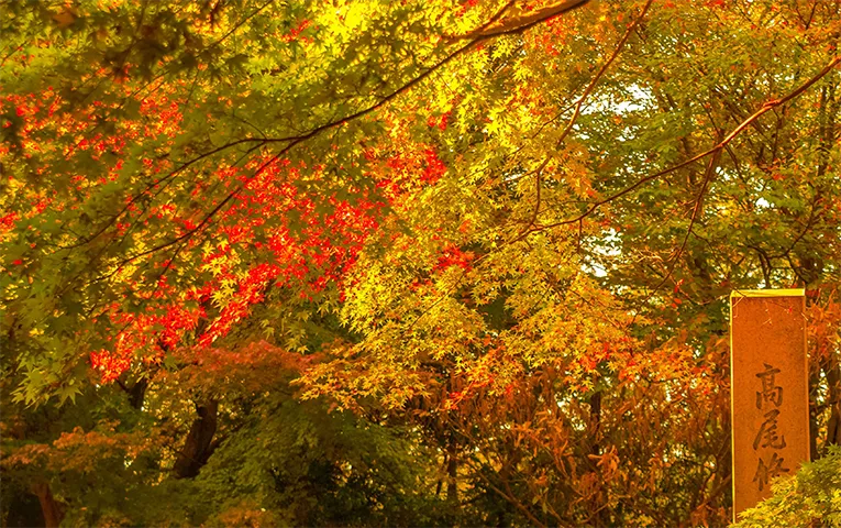 Mt. Takao one-day hiking tour