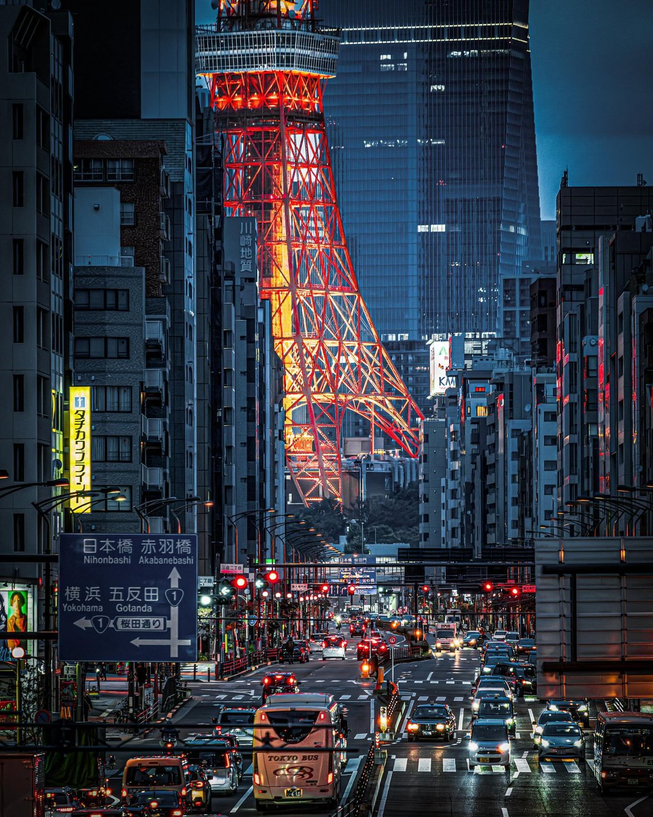 Tokyo night tour by private Alphard (4 hours)
