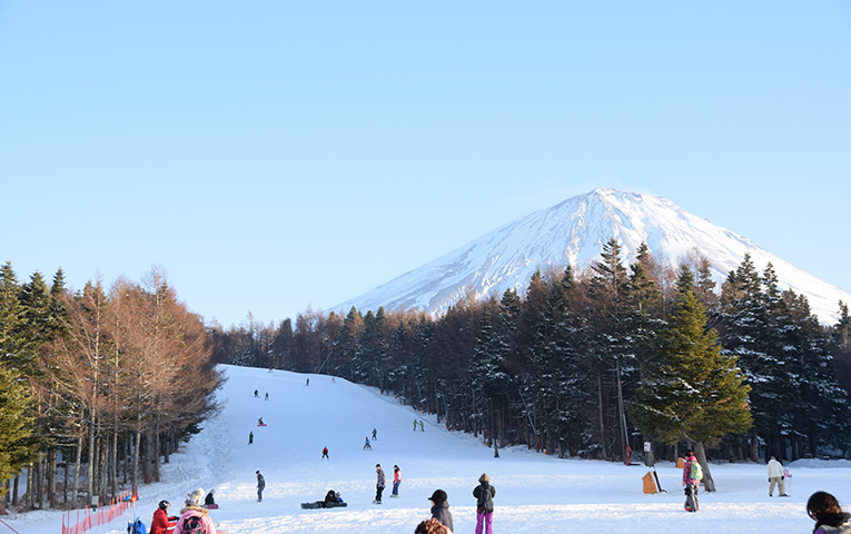 Mt. Fuji ski-resort tour from Tokyo