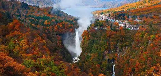 Discover Nikko's culture and history from Tokyo