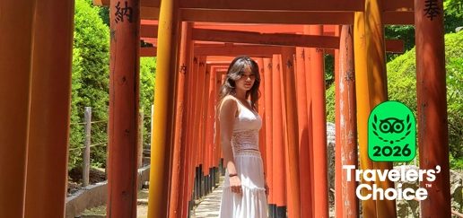 Tokyo Private Guided Tour