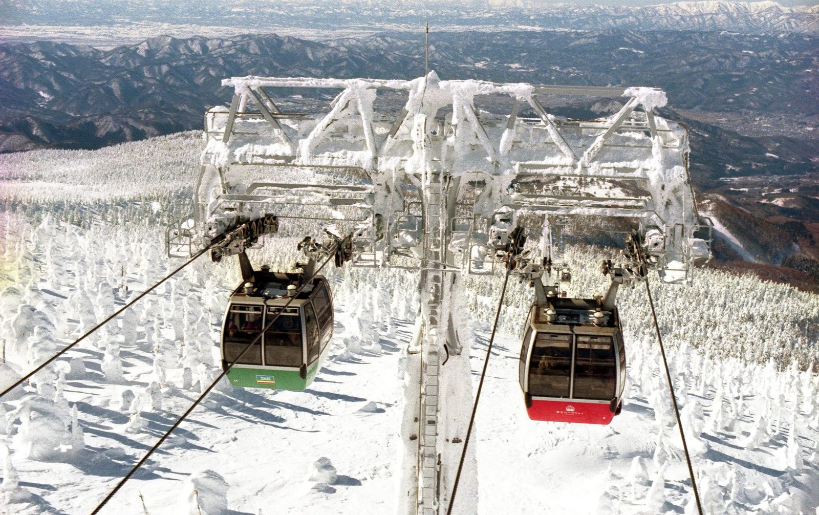 Shiga Kogen vs. Zao Ski Resorts: The Complete Guide to Snow Monsters, Snow Quality, and Night Skiing