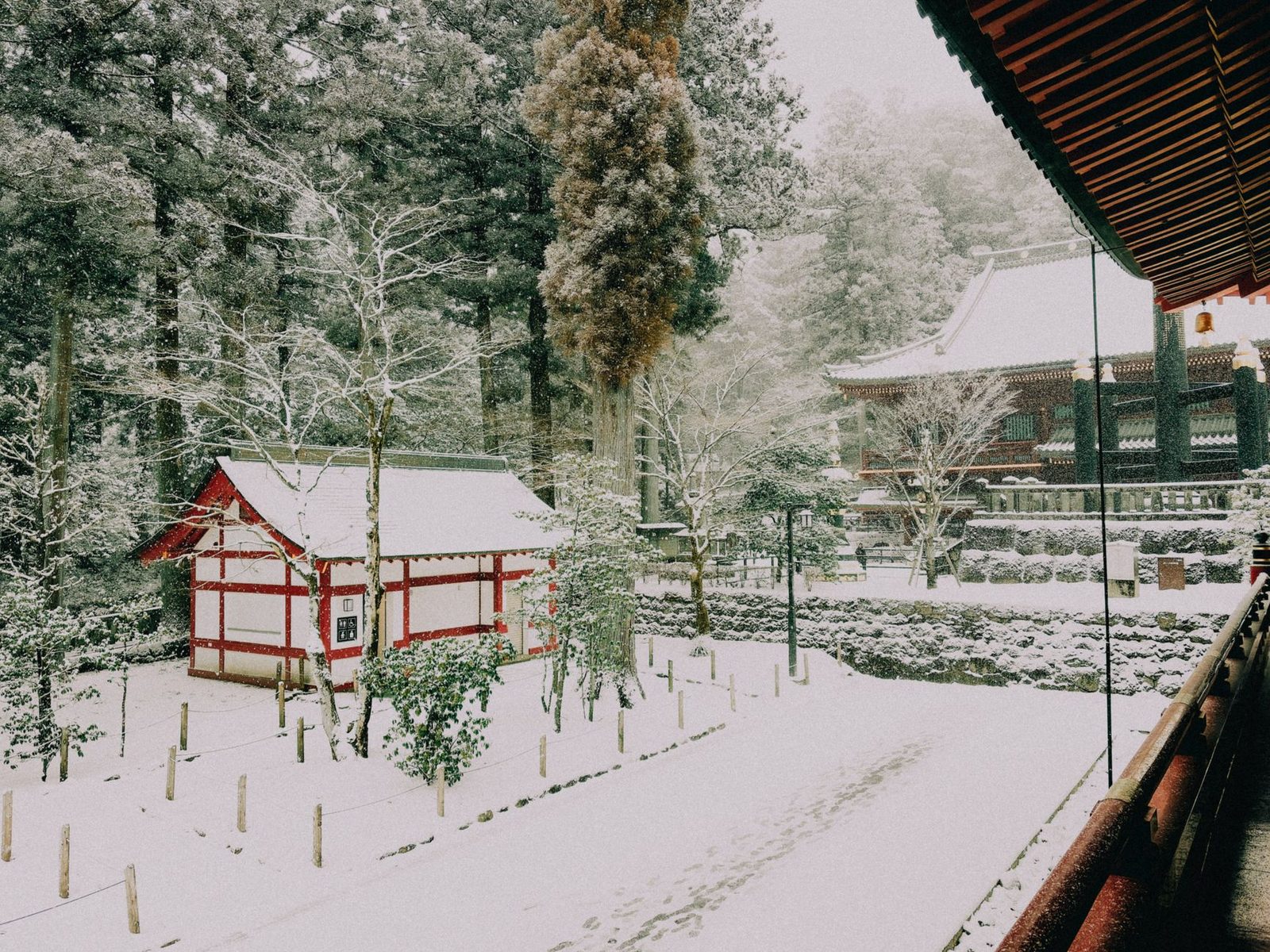 Nikko ab Tokio
