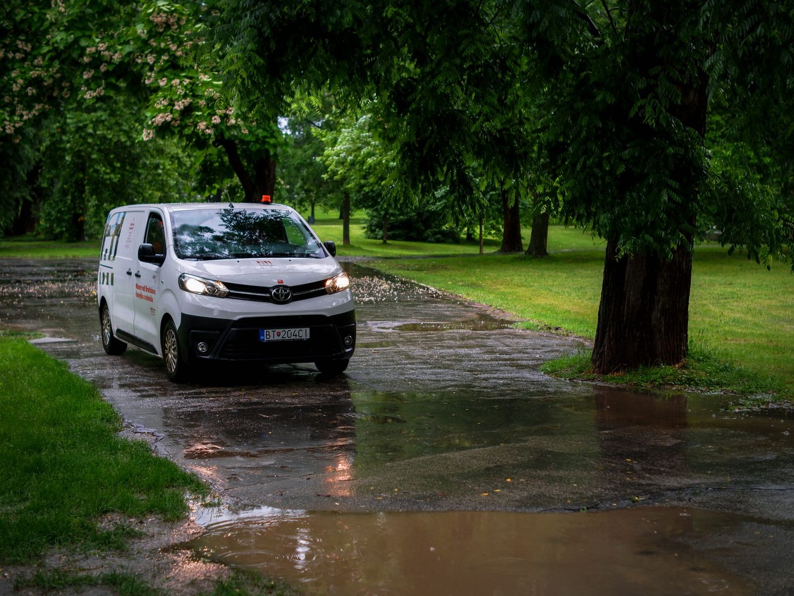 Charter con autista o noleggio con guida autonoma in Giappone?