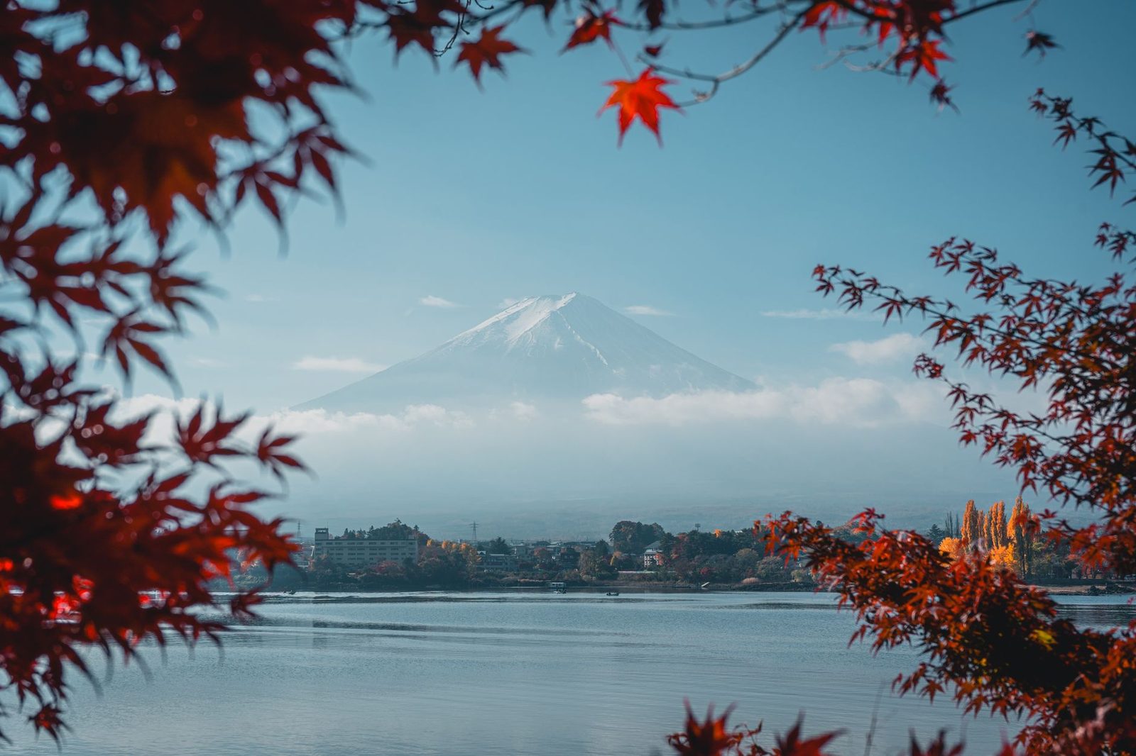 Una giornata d’autunno ai piedi del Fuji: partenza da Tokyo e ritorno a Tokyo