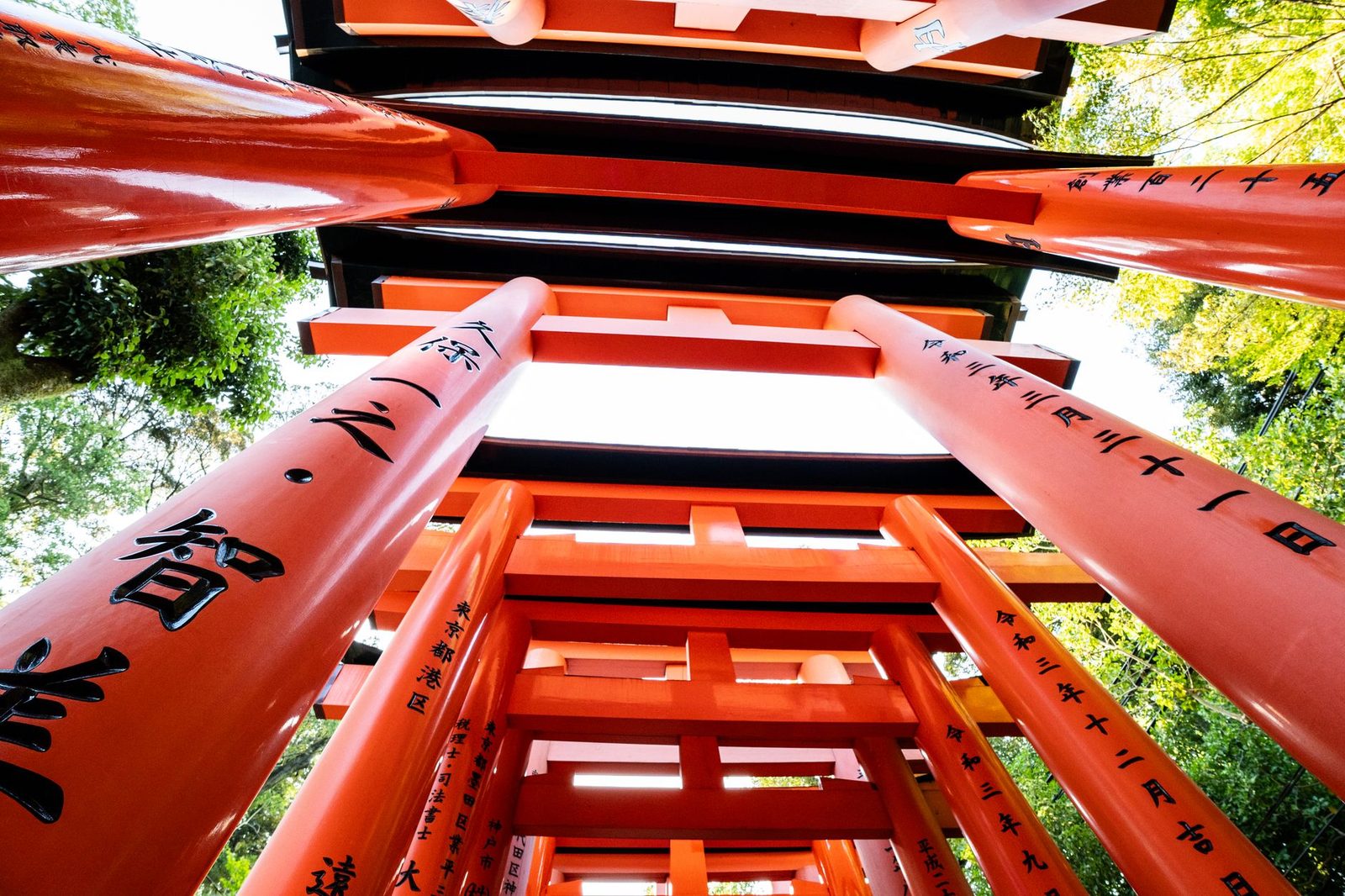 Shinkansen 6-Day Tour: Tokyo, Kyoto, Nara & Osaka by Bullet Train — OlaChill day tour