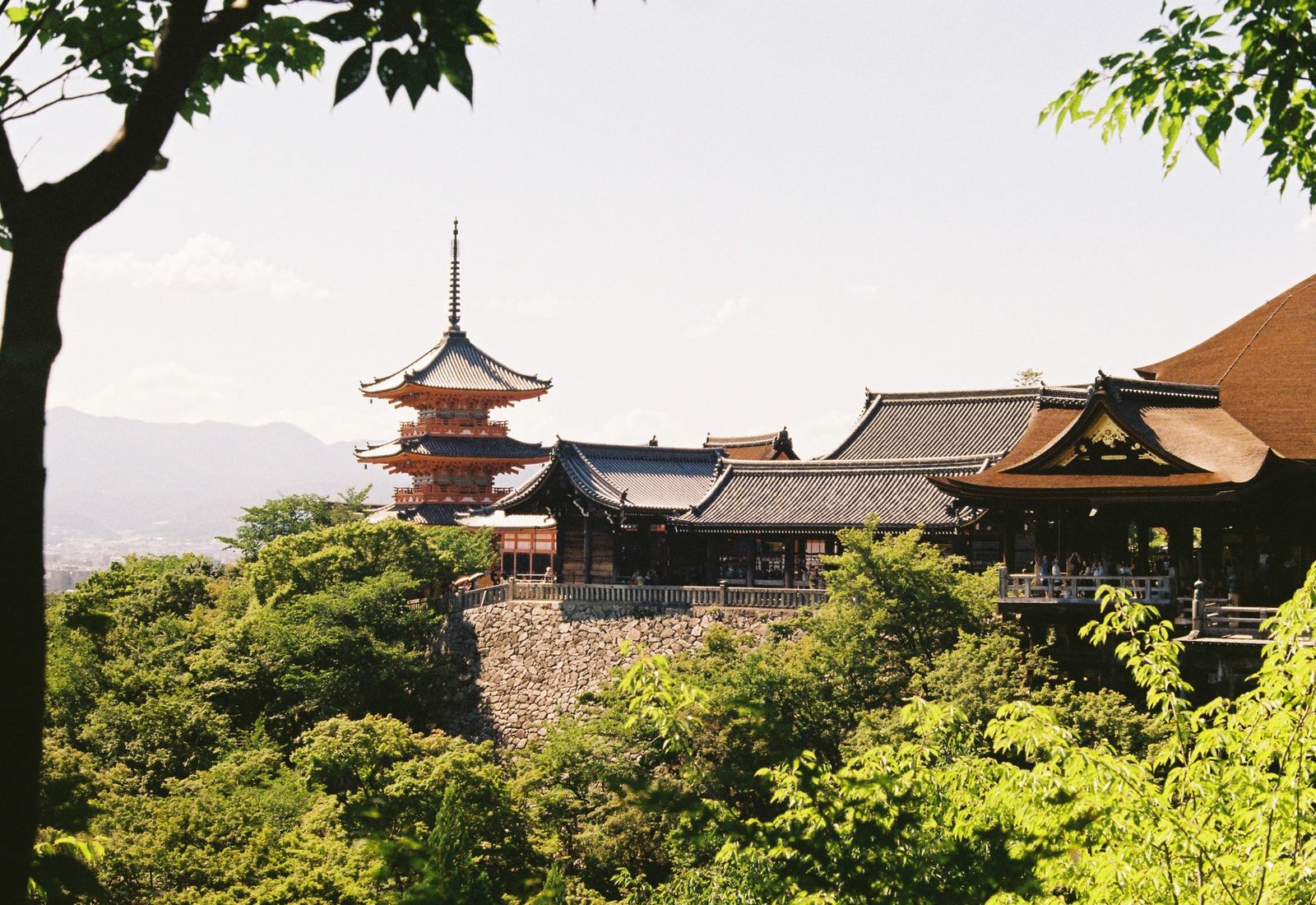 Kyoto Osaka Nara 2-day autumn tour — OlaChill day tour
