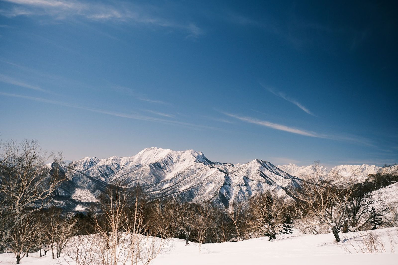Gaeului Hakuba: Se 세대 가족을 위한 여유로운 산책