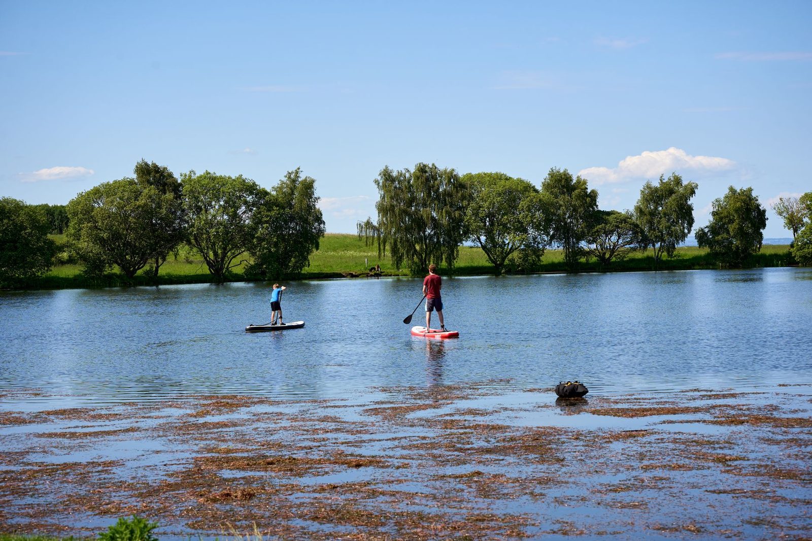 Guía del lago Aoki — El paraíso del SUP, el kayak transparente y la canoa