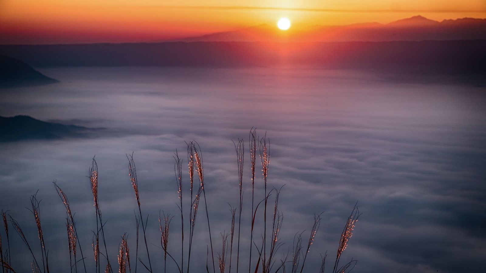 A bath at first light