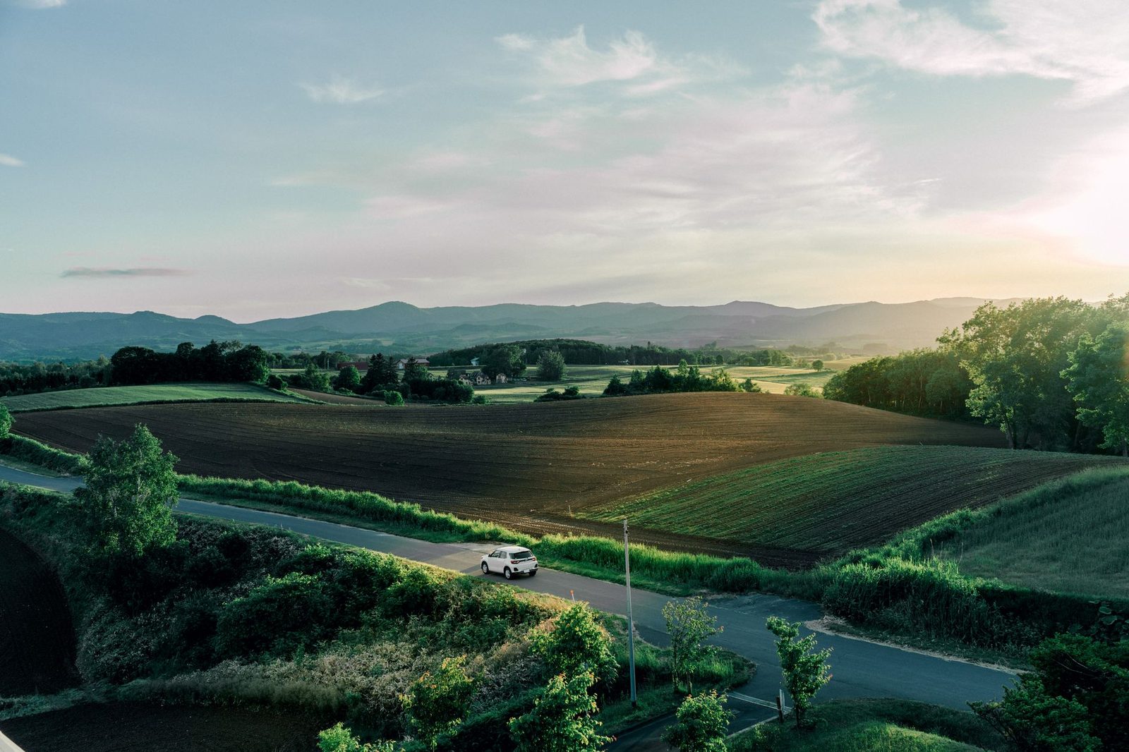 Guida completa 2024 alla “Patchwork Road” di Biei! Un viaggio panoramico tra colline e