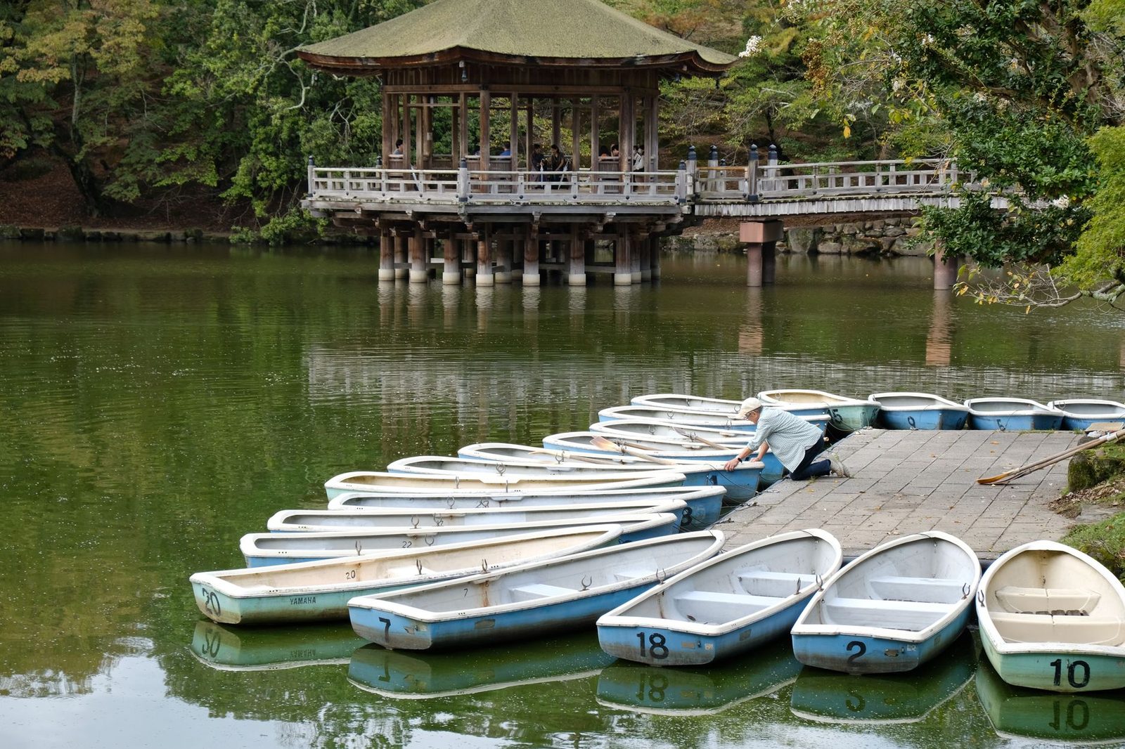 吉祥寺と井の頭公園:住みたい街No.1の歩き方