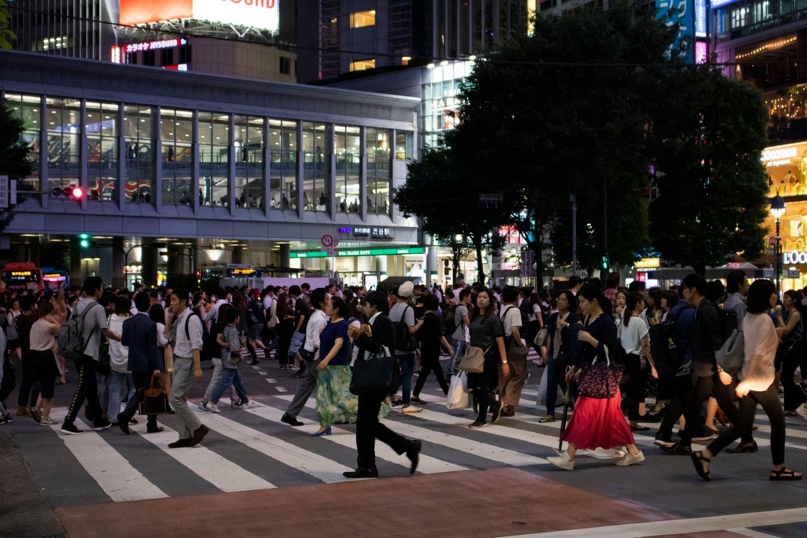 Shibuya Sky vs Tokyo Skytree: Price, Height & Which One Wins (2026)