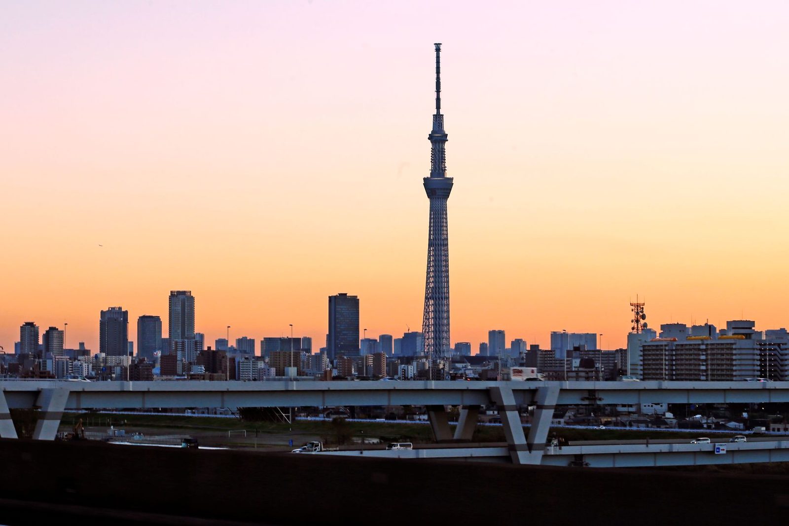 Shibuya Sky vs Tokyo Skytree: Price, Height & Which One Wins (2026)