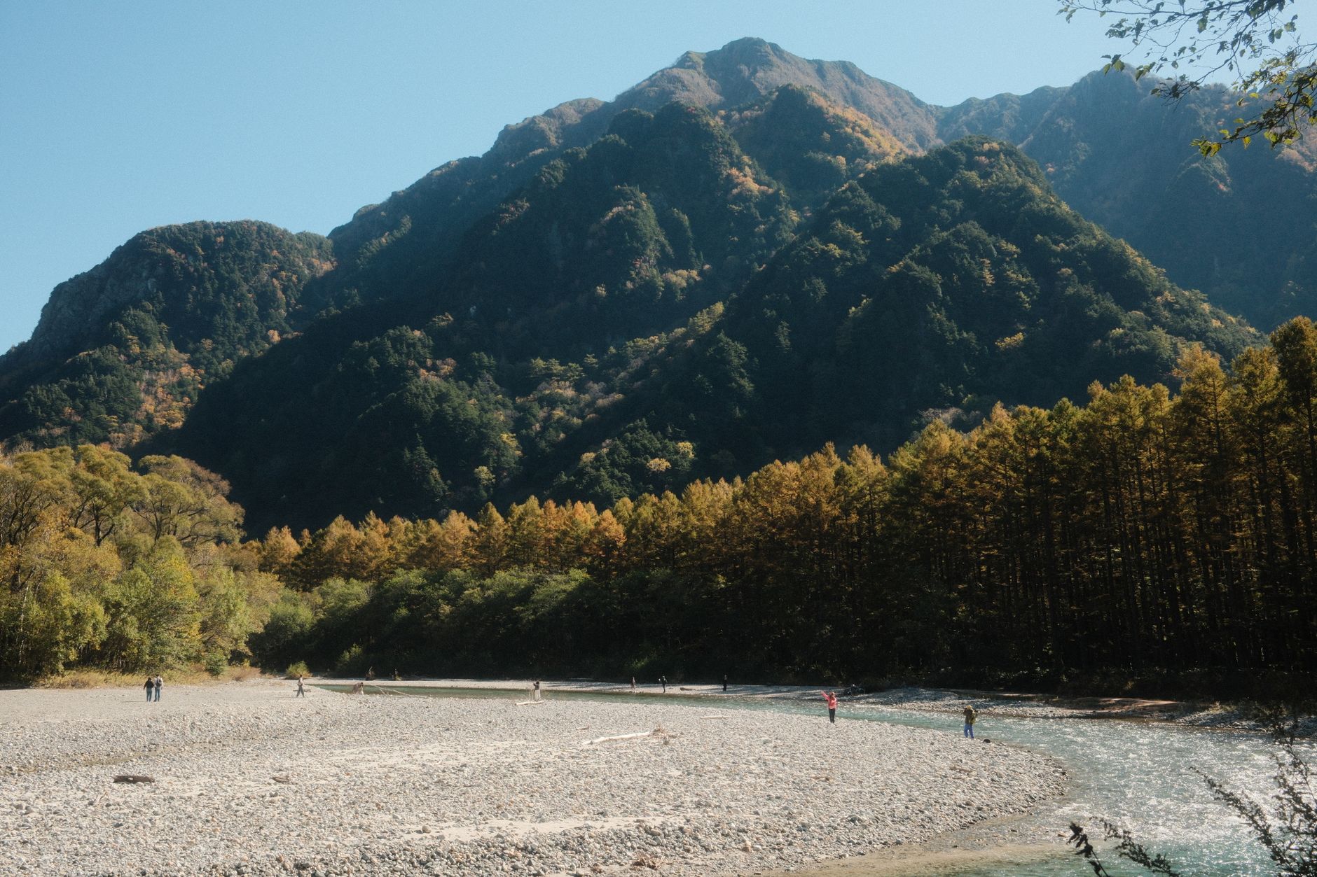 Kamikochi in Fall Foliage: Tracking the Golden Wave by Elevation