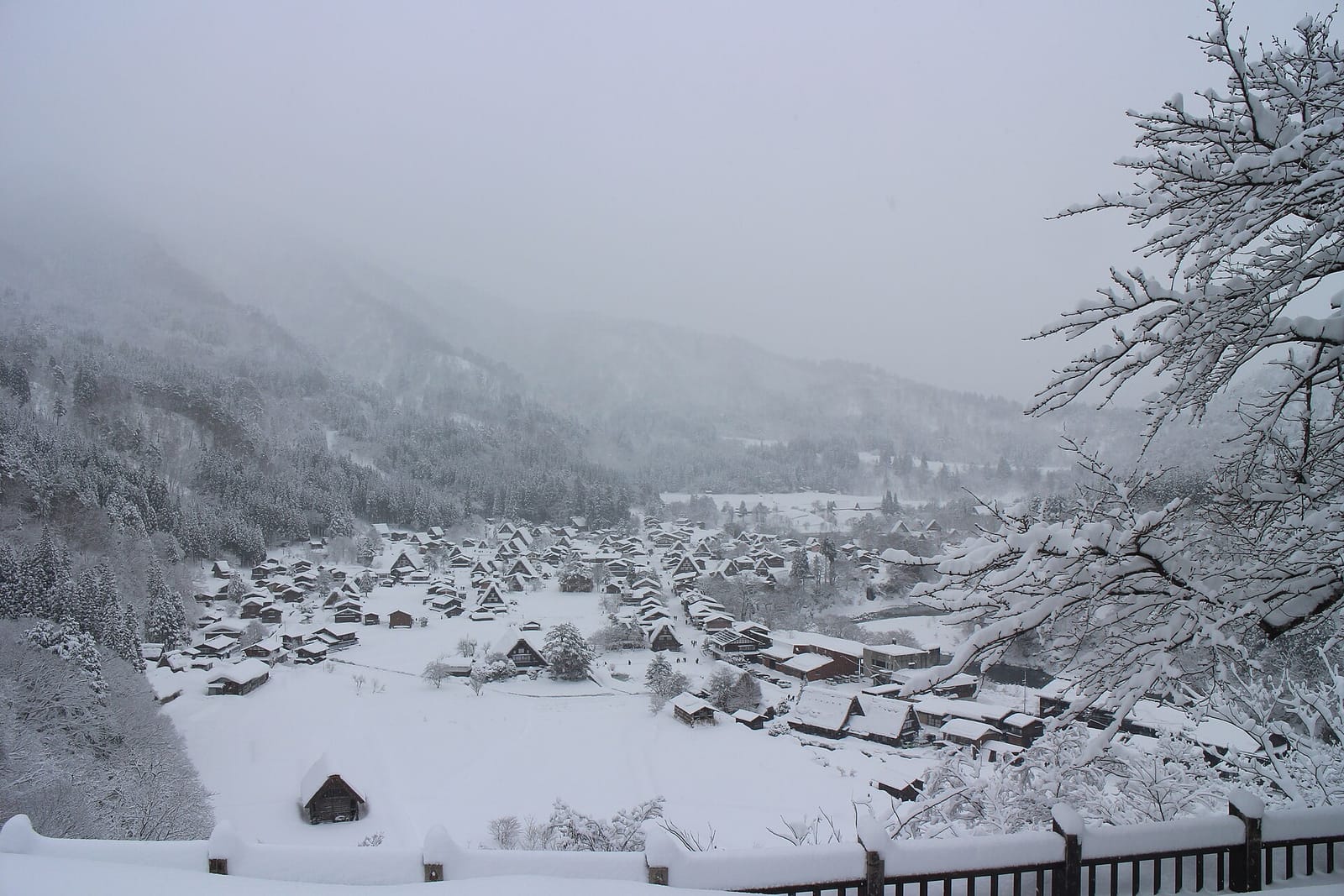 Shirakawa-go thatched-roof village in winter snow — Chubu region