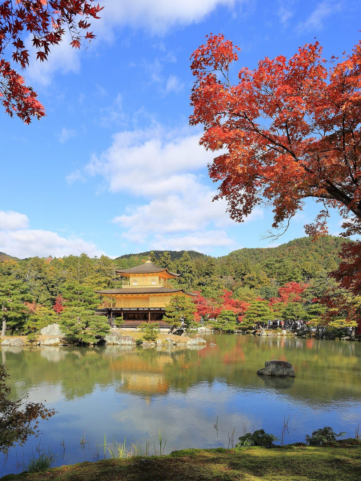Golden Pavilion Kinkaku-ji reflected in the pond framed by red autumn maples — Kyoto