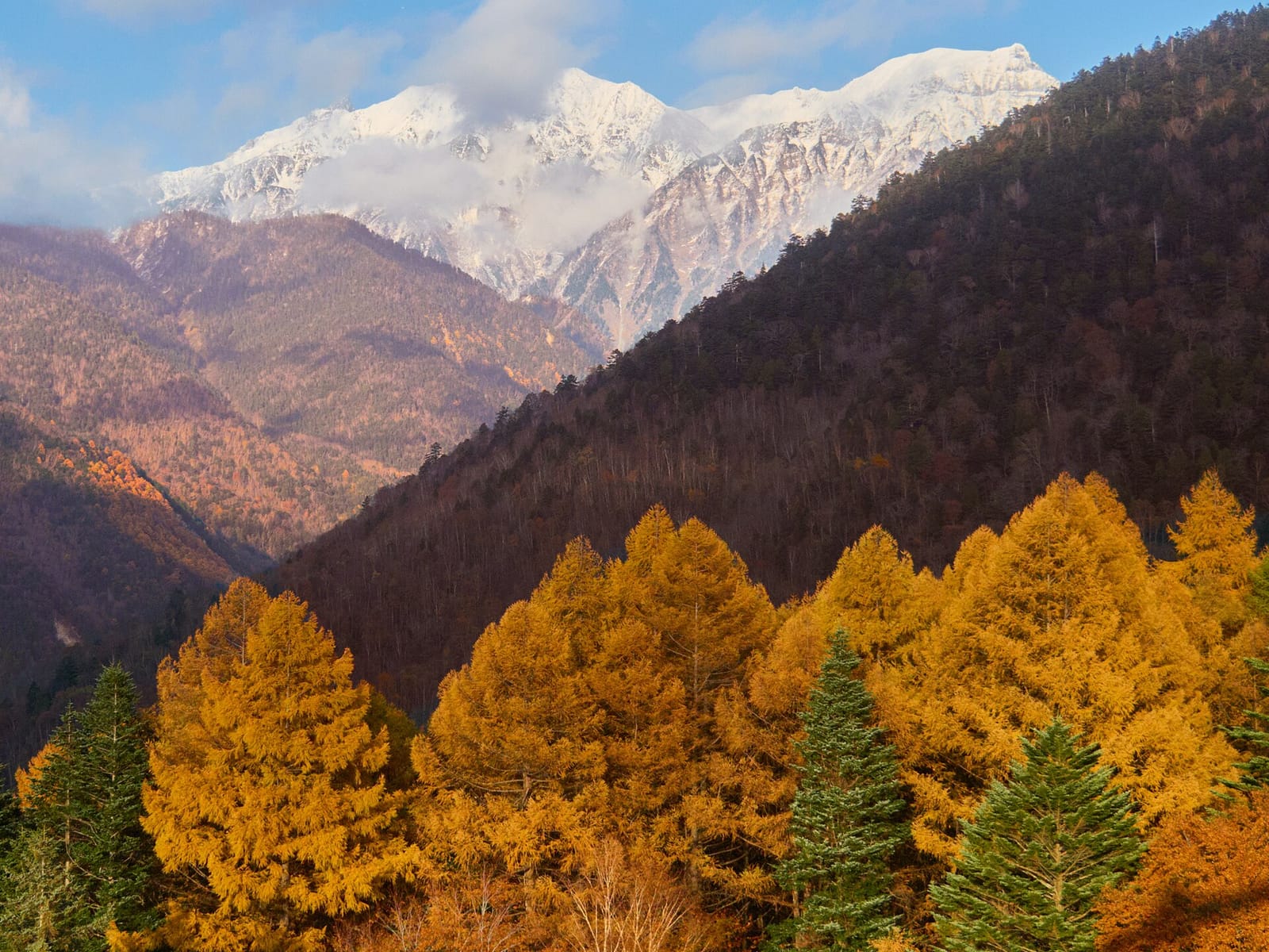 Grand Japan in 12 Days: Tokyo to Osaka through the Alps — OlaChill day tour
