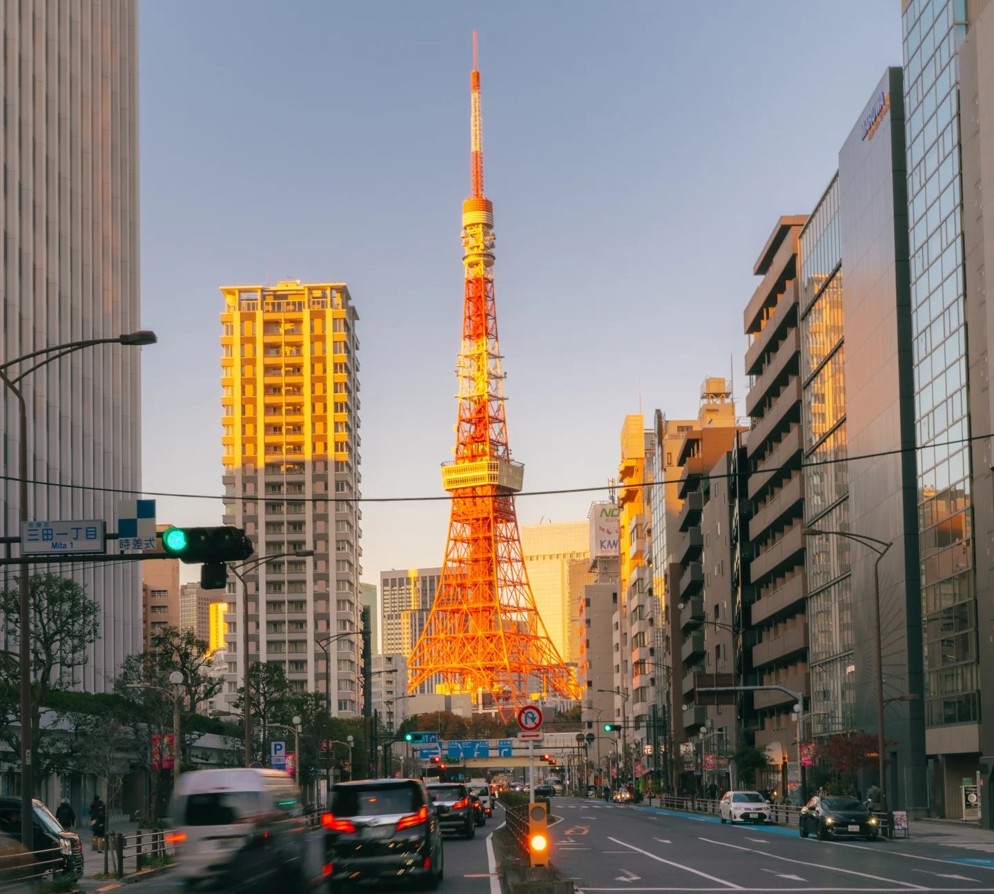 Tokyo 5-hour Private Layover Tour