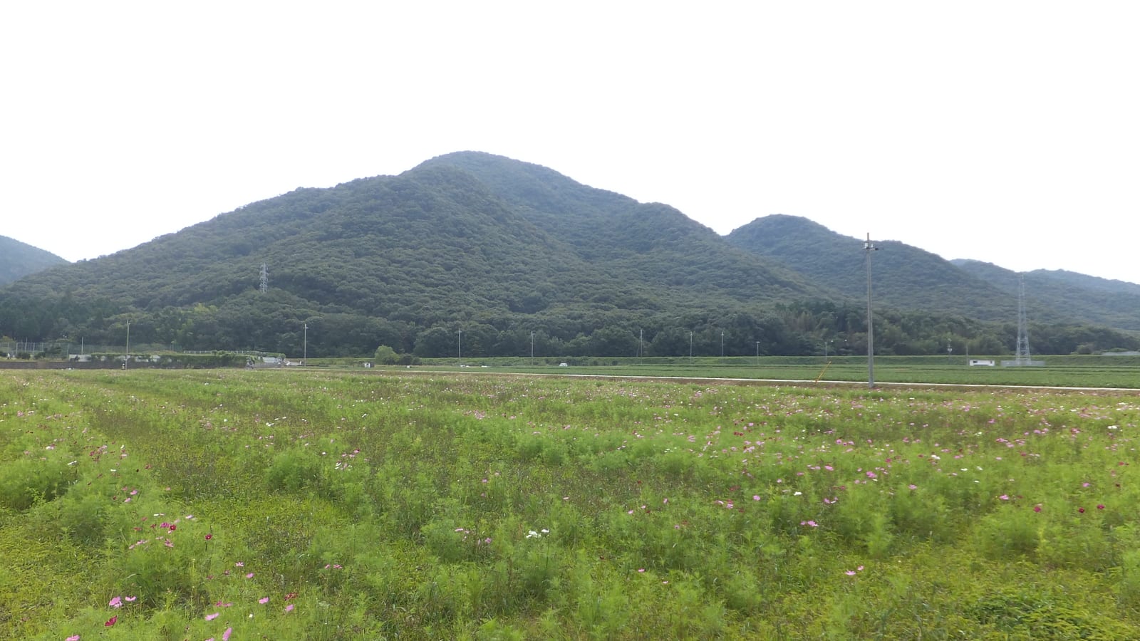 Tohoku in Autumn – Japan's Northeast Ablaze with Gold and Crimson