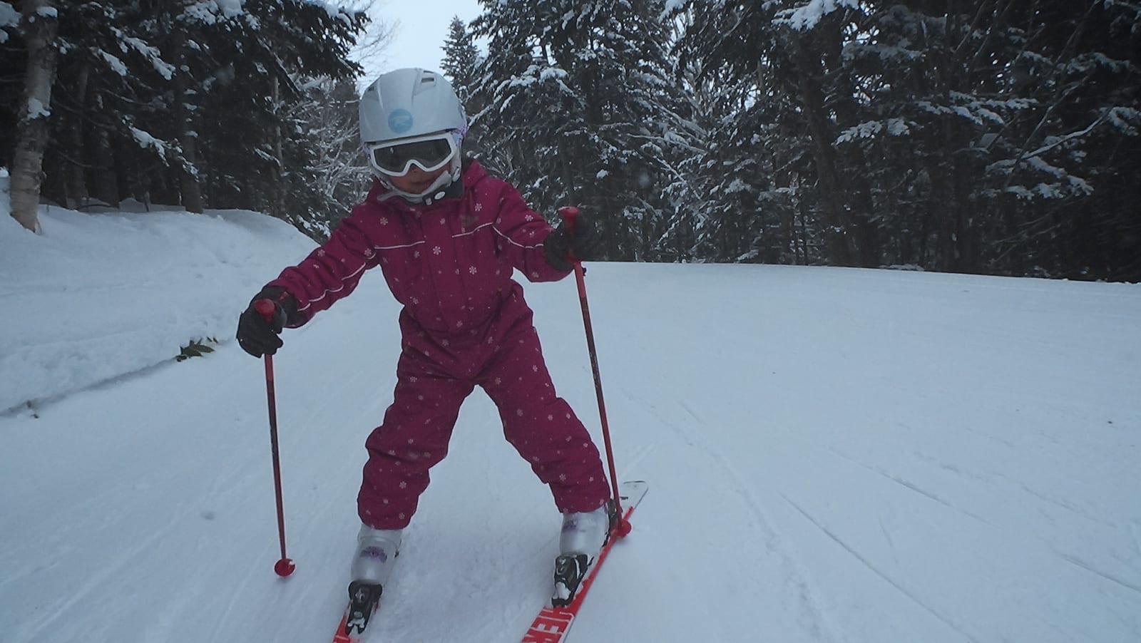 Shiga Kogen vs. Zao Ski Resorts: The Complete Guide to Snow Monsters, Snow Quality, and Night Skiing
