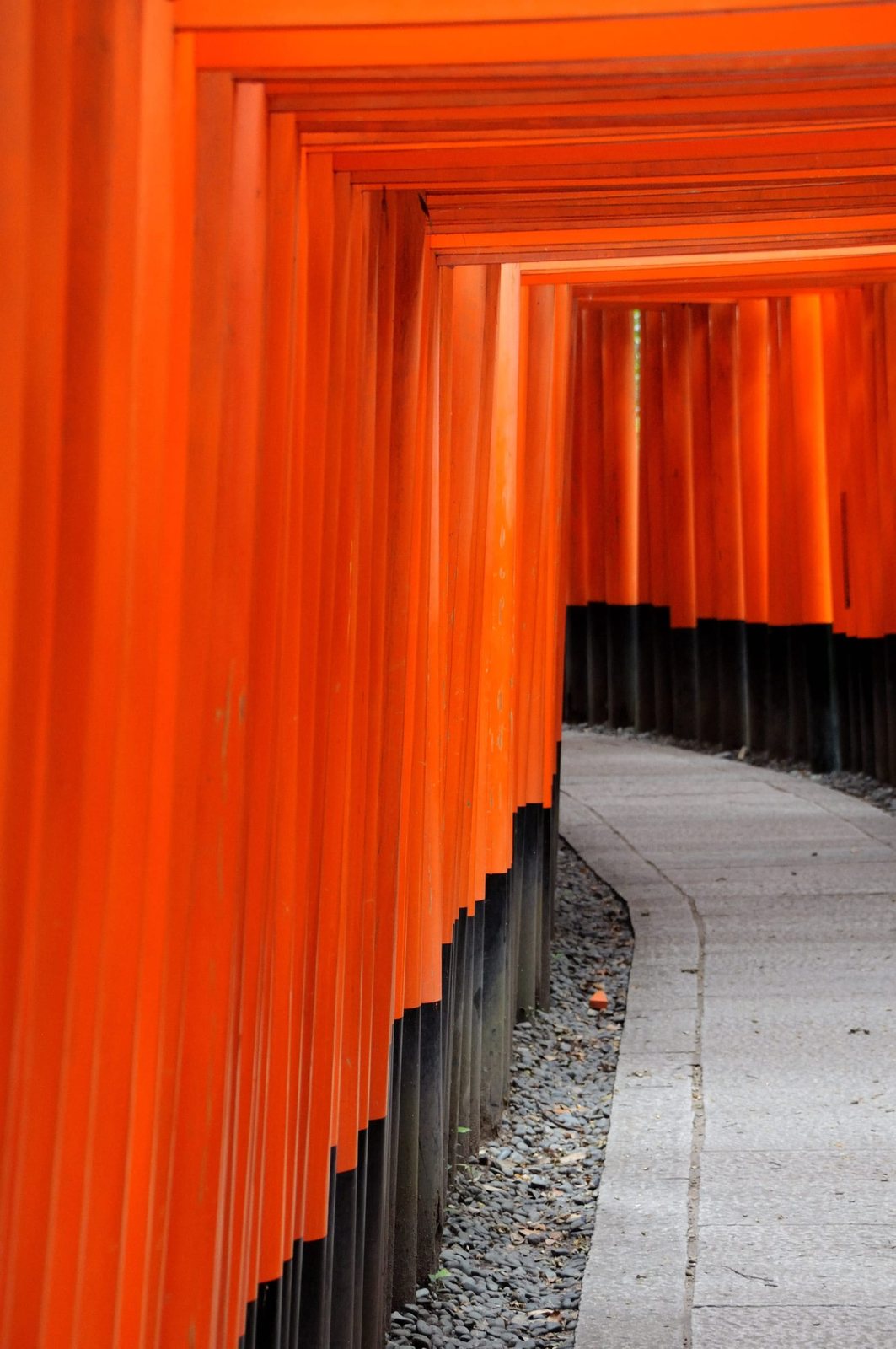 Sentiero dei torii di Fushimi Inari