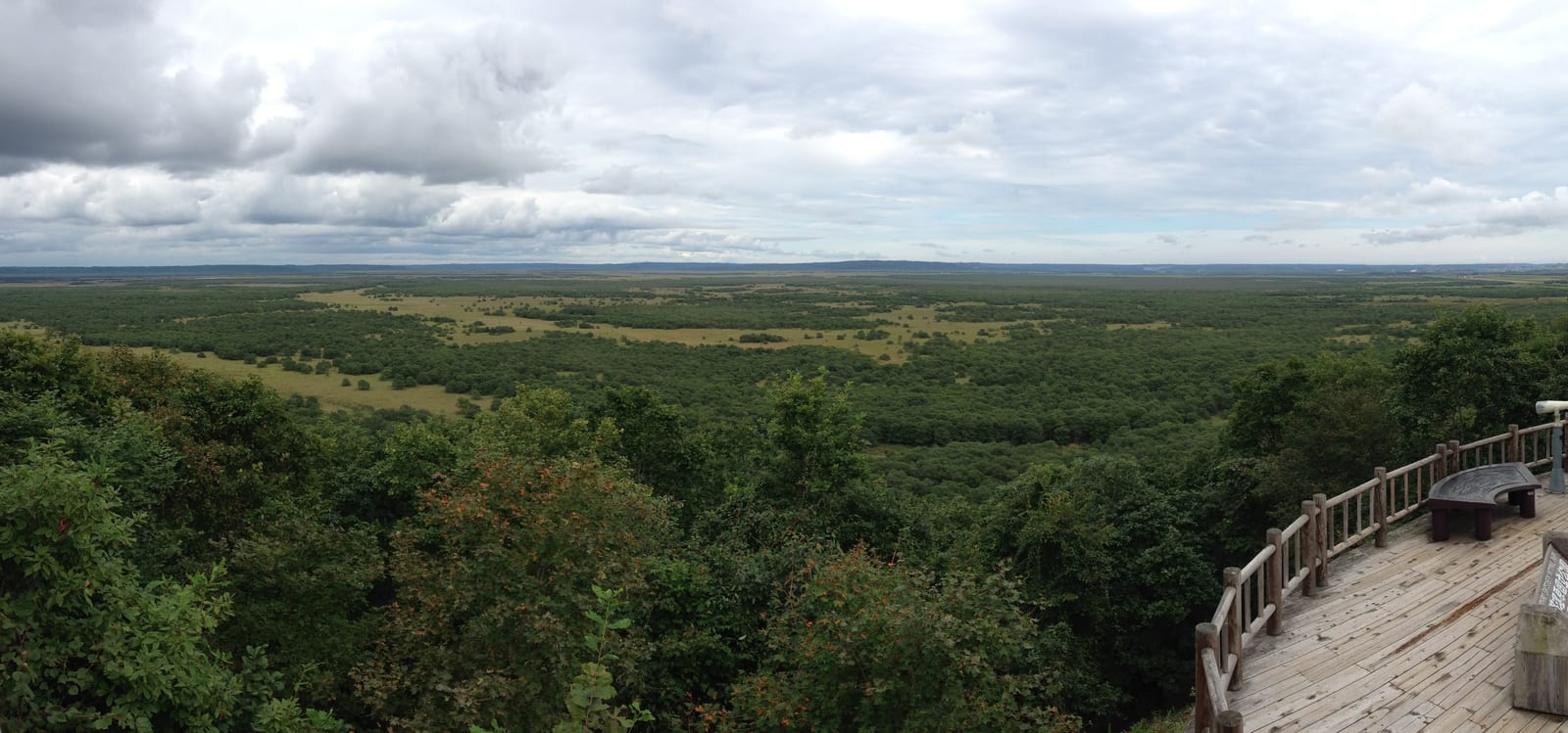 Guía del Humedal de Kushiro | Descubre a fondo los encantos del humedal más grande de Japón donde danzan las grullas de corona roja