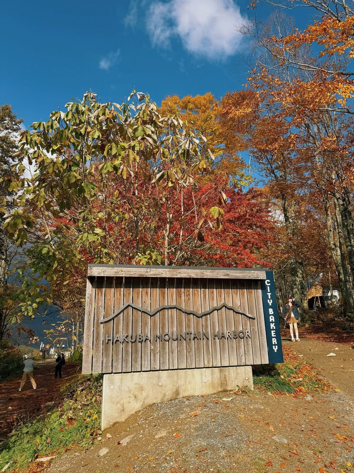 Iwatake山頂の木製Hakuba Mountain Harborのサイン。赤や黄色の紅葉の木々の間に浮かんでいる