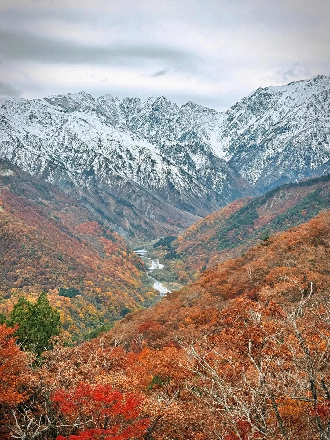Hakubaで、鮮やかな赤やオレンジの紅葉の谷の上に、初雪をまとった岩山の峰々がそびえる景色