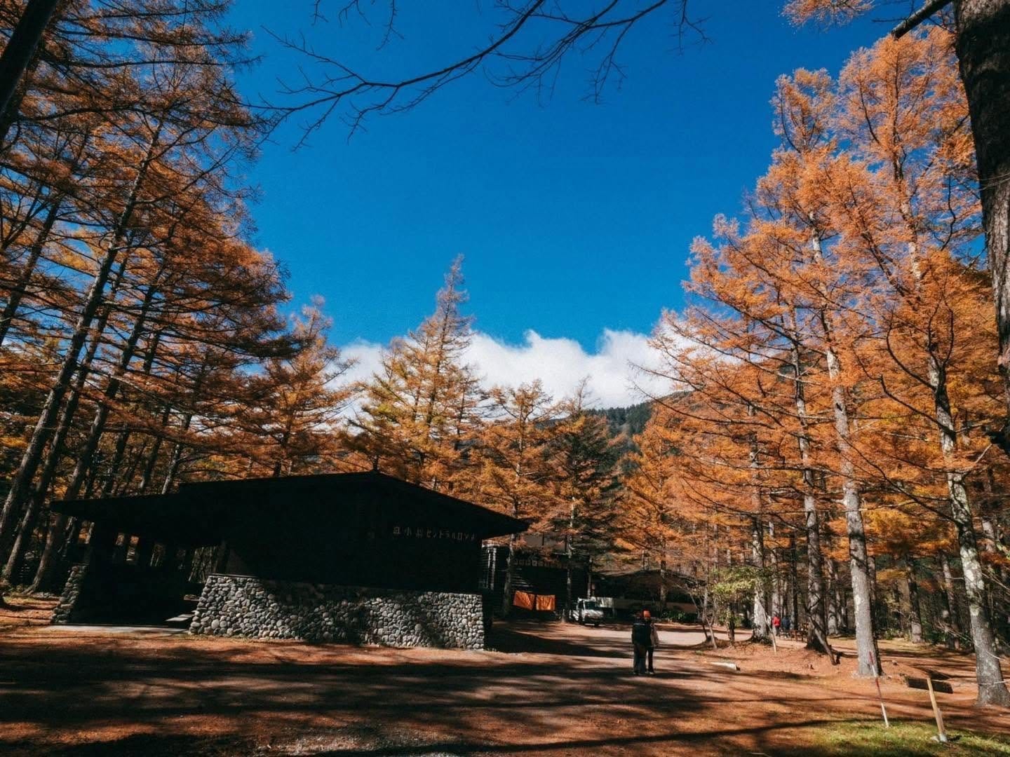 The central lodge area at Kamikochi surrounded by autumn forest