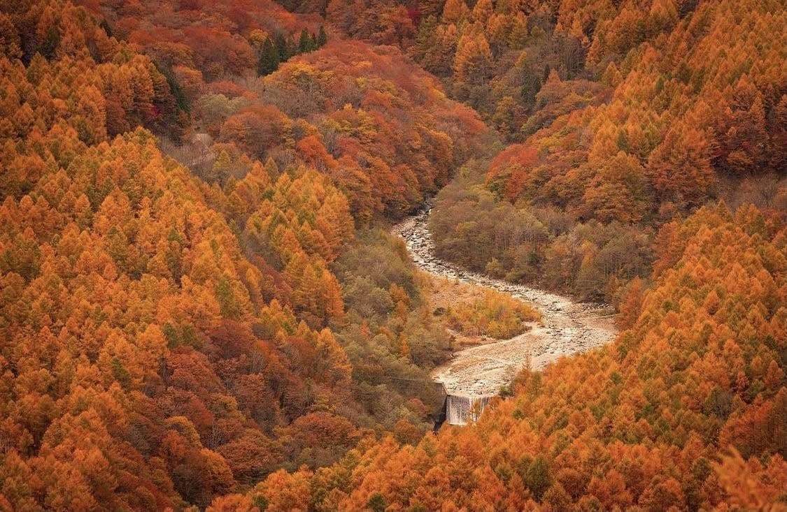 Aerial view of Kamikochi Valley in autumn, with golden-orange forests covering both slopes