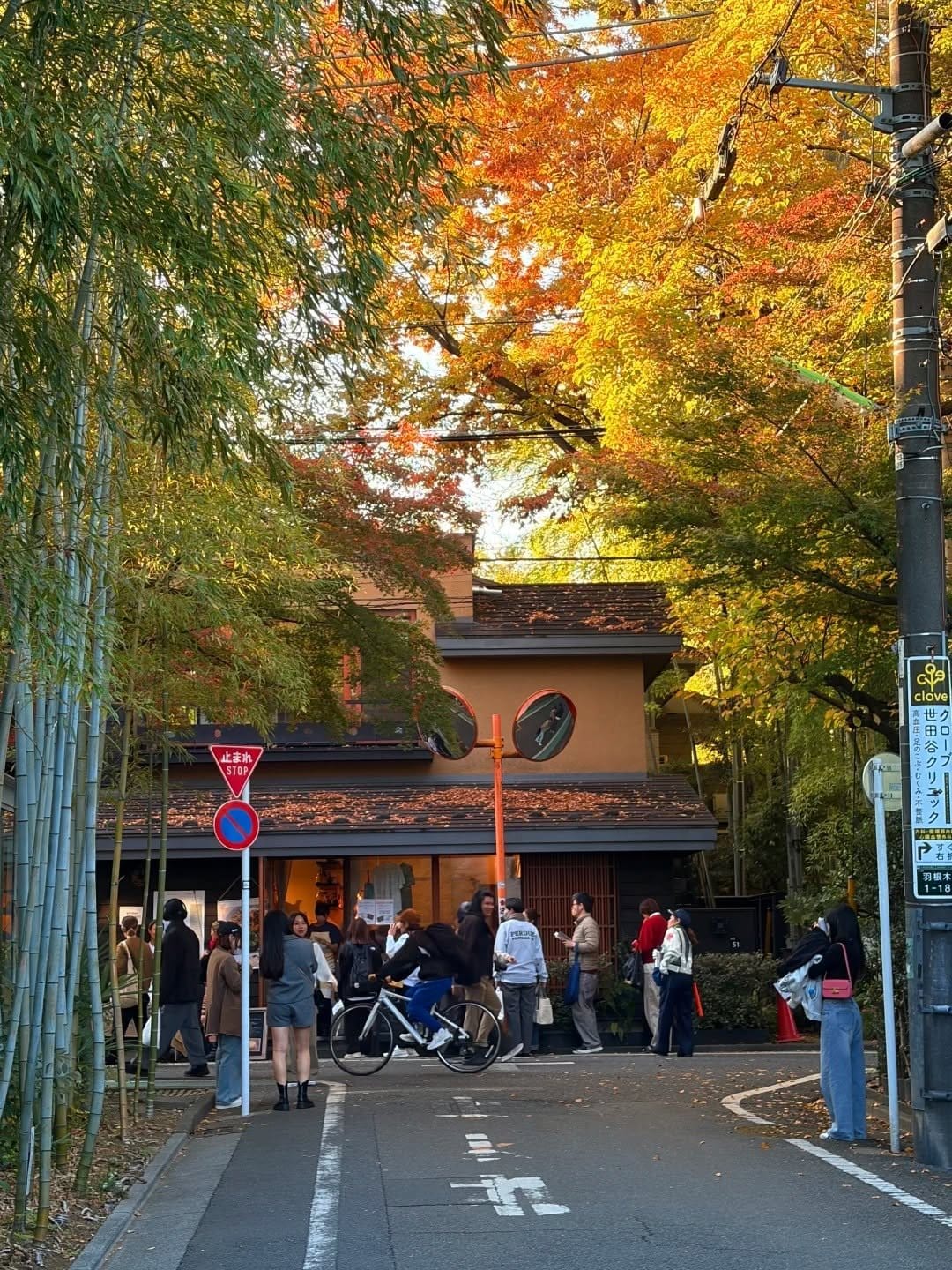 A Setagaya street with green bamboo and red maple leaves, characteristic of “Little Kyoto”