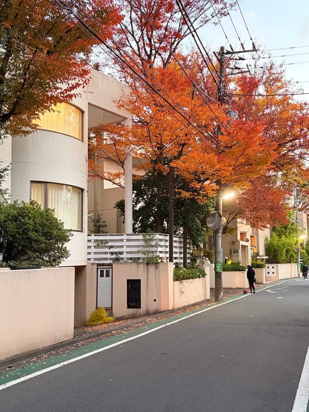 A quiet residential lane in Setagaya in autumn, with red maple leaves covering the road and low-rise houses on both sides