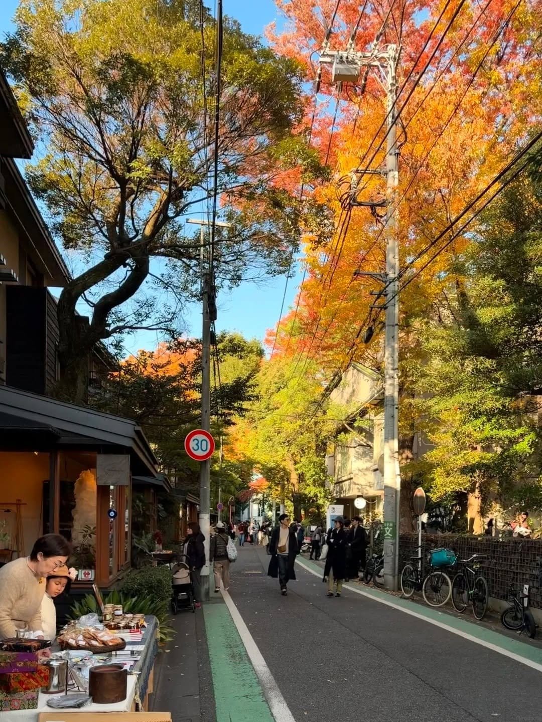 A Setagaya street in autumn, with stalls outside shops and rows of trees turning yellow and orange on both sides
