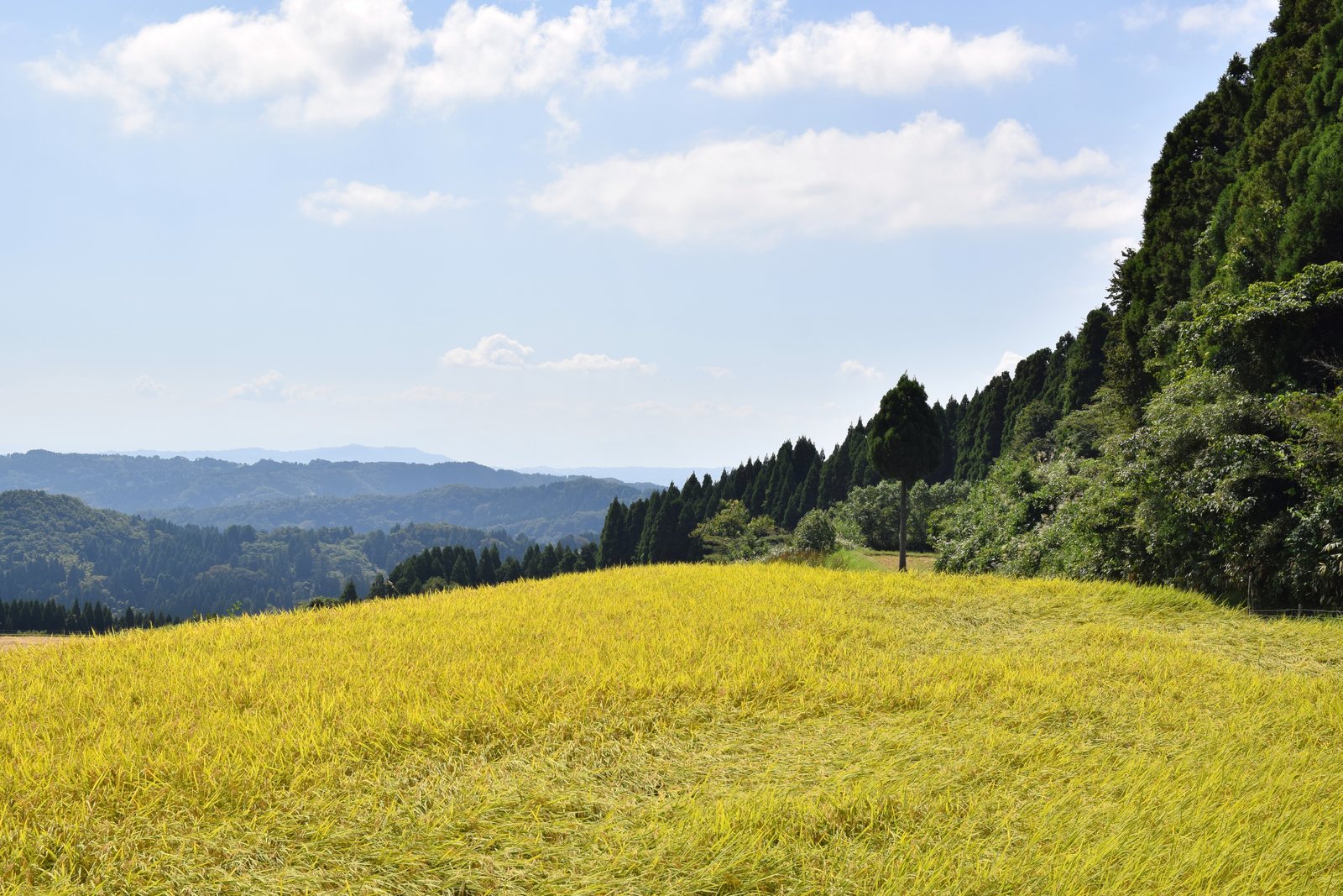 能登半島