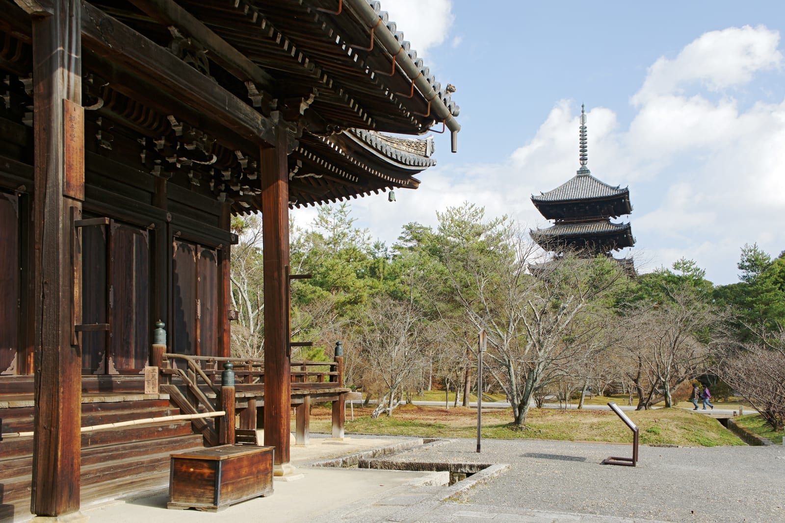 古都 桜